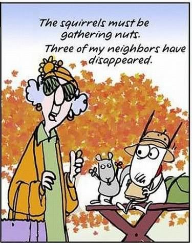 nuts1_zps51e36c48